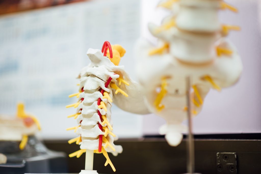 common spine injuries