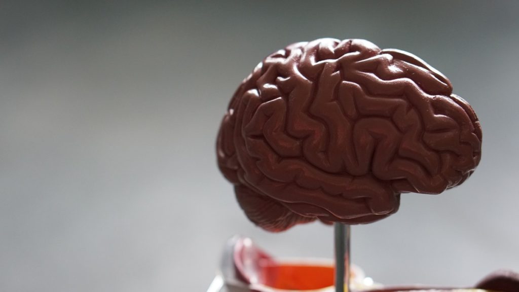 ¿Qué ocurre si no se trata una lesión cerebral traumática?